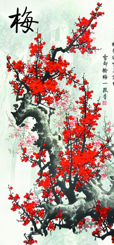 梅圖片