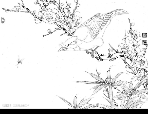 白描圖片