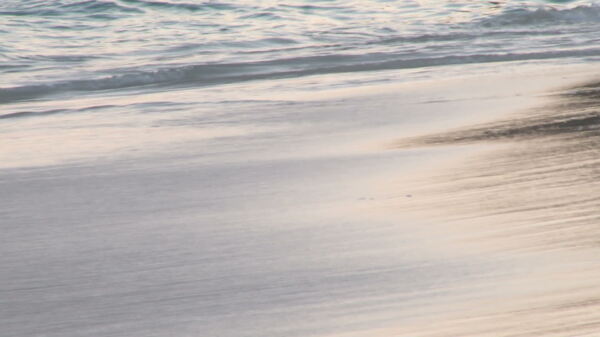 波浪对海岸靠近百慕大群岛股票视频视频免费下载