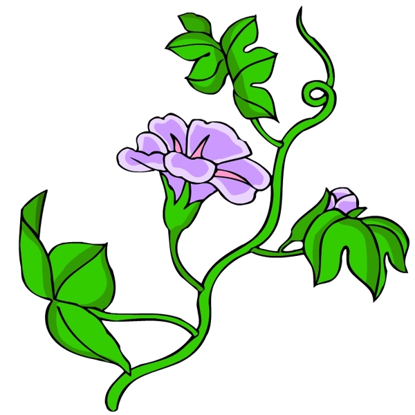 花卉古典插畫(huà)
