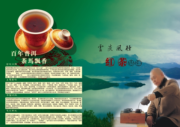 普洱茶宣传册图片