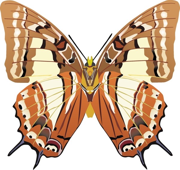 印花矢量图动物蝴蝶色彩五颜六色免费素材