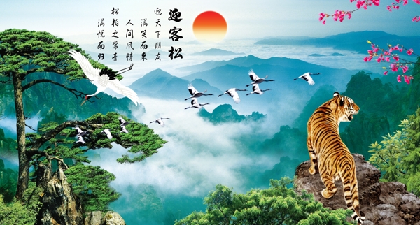 迎客松圖片