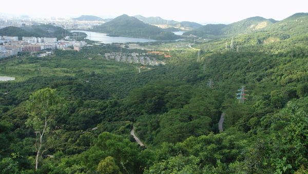 鳥瞰鳳凰山圖片