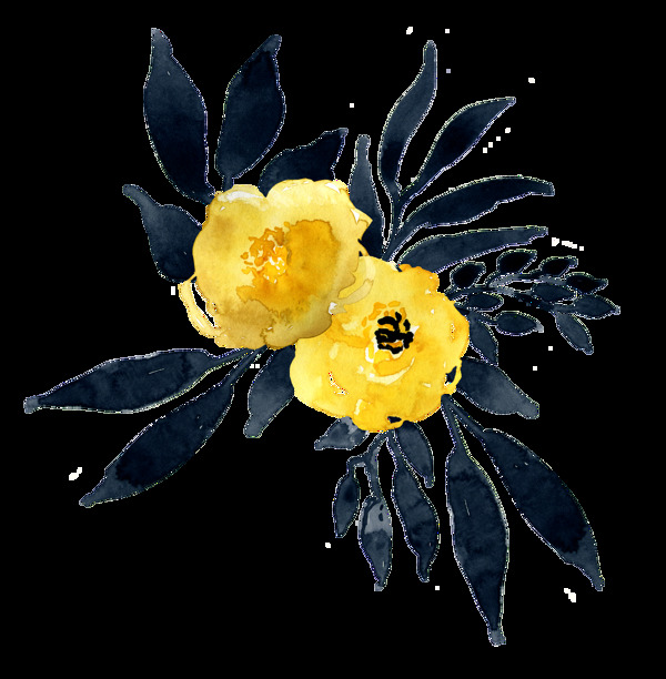 黑黄双花透明装饰素材