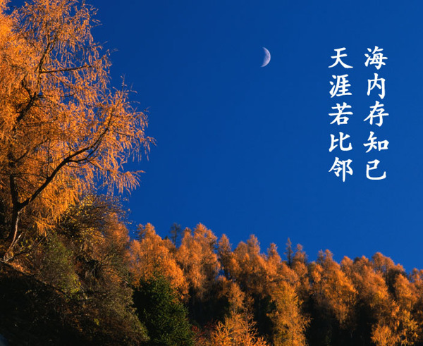 明月圖片