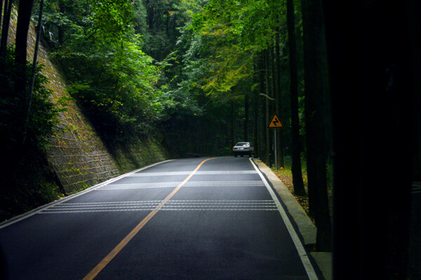 高清森林公路图片