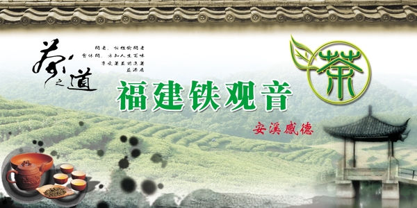 鐵觀音茶葉海報(bào)圖片