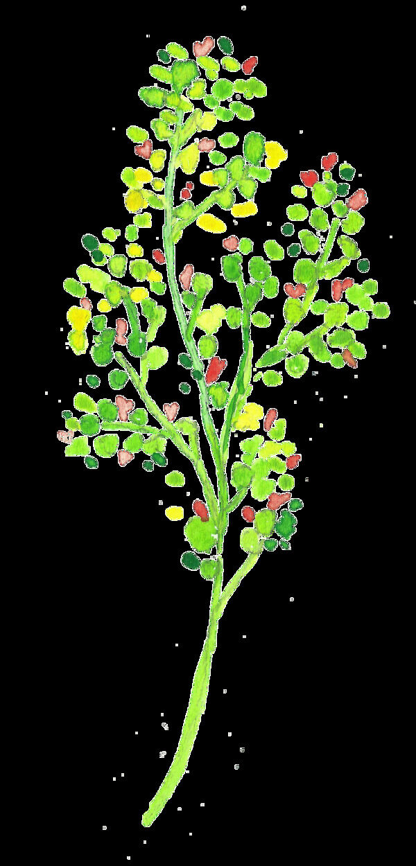 绚丽颜色植物卡通水彩透明素材