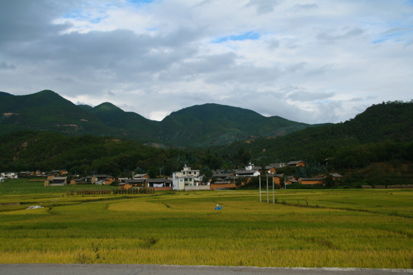 高原農(nóng)村秋色