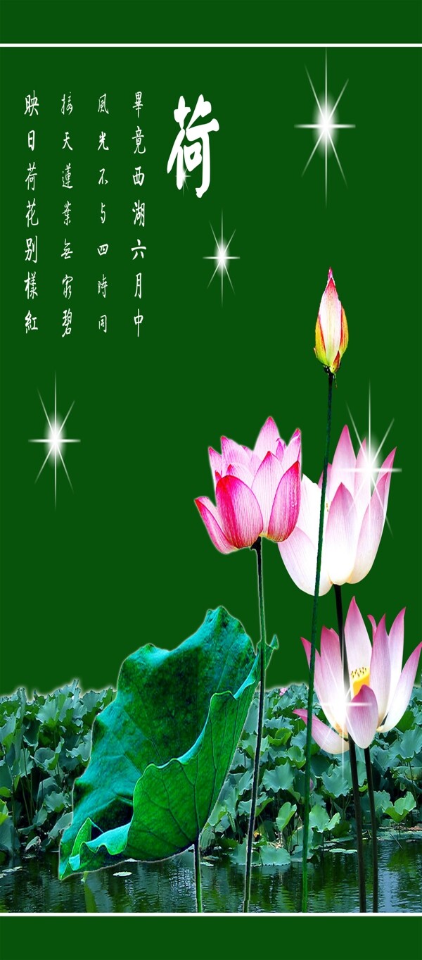 荷荷花夜色古韻詩圖片