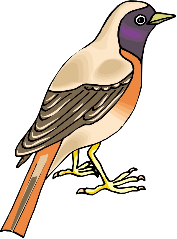 各種鳥類鳥動物矢量素材EPS格式0407