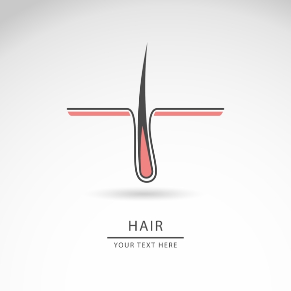 發(fā)根徽標logo模板