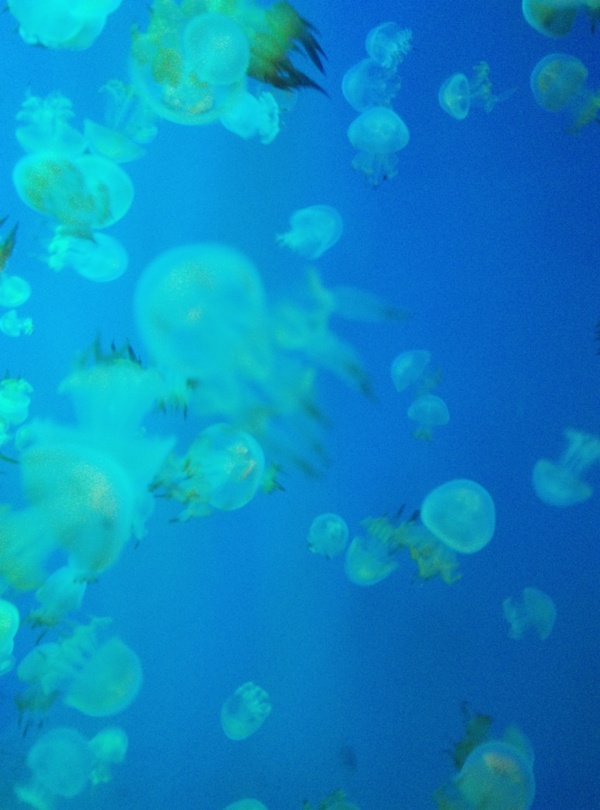 海底世界