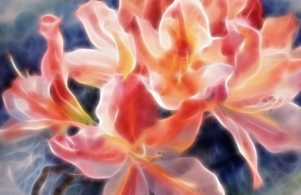 花卉裝飾畫