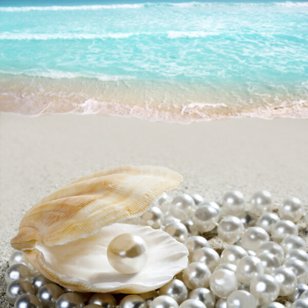 海边珍珠堆