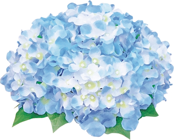花球