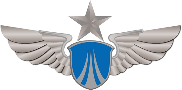 空軍標識圖片