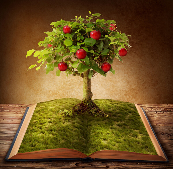 书本与苹果树