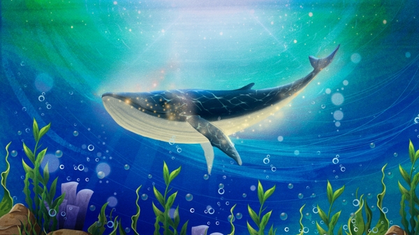 蓝色唯美治愈暑深海鲸鱼插画