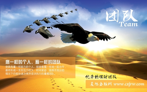 團(tuán)隊(duì)圖片