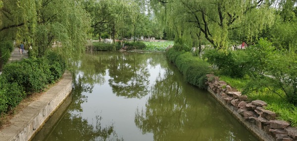 池塘小河小溪河流河道绿色景观