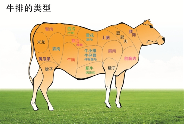 牛肉分布图