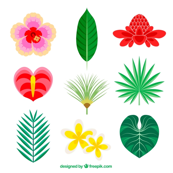 9款彩色热带花卉和叶子矢量素材
