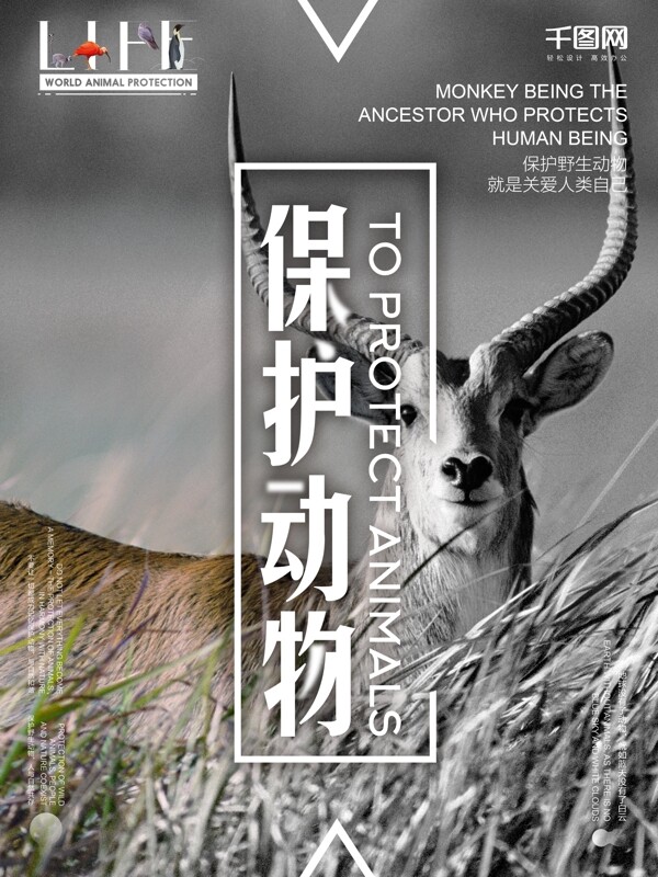 拒绝猎杀保护野生动物海报设计