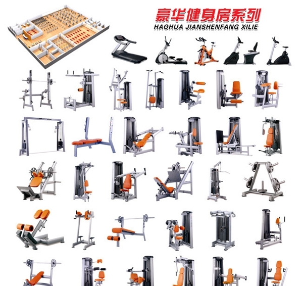 豪華健身器材系列DM單圖片
