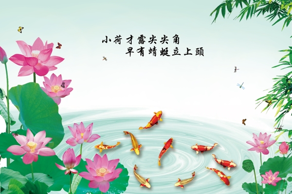 荷花九魚圖