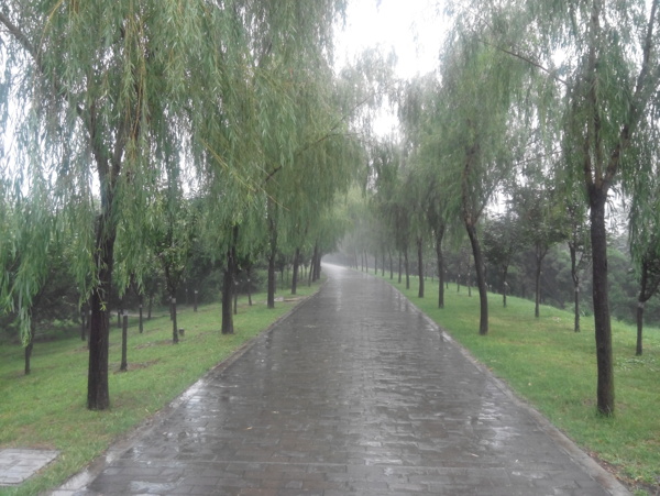 雨后小路圖片