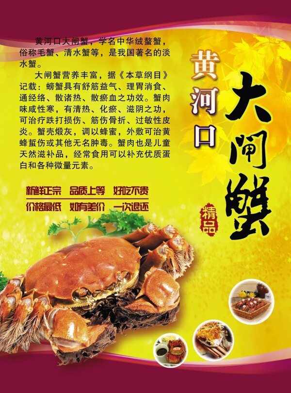 大閘蟹