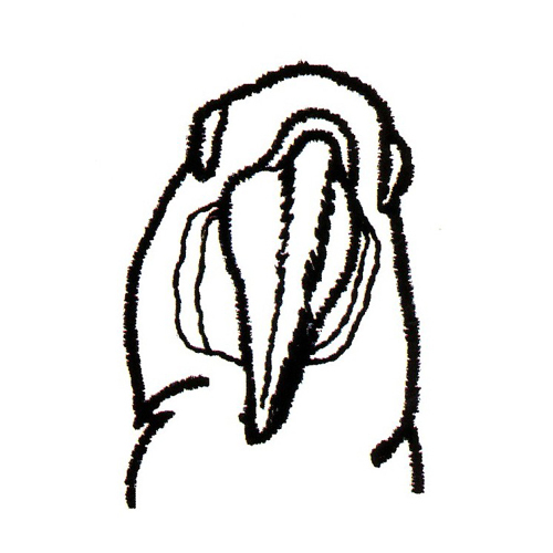 繡花動(dòng)物鳥(niǎo)類(lèi)色彩黑色免費(fèi)素材
