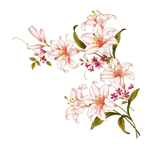 百合花