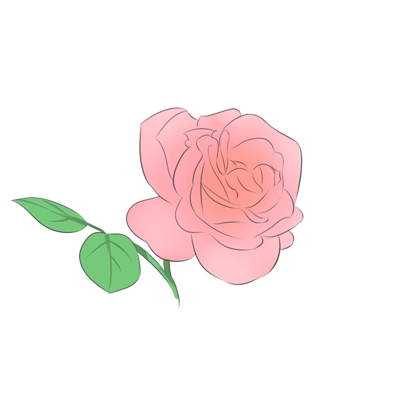 一朵红色玫瑰插画
