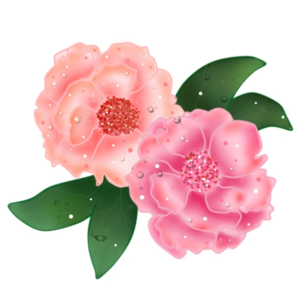 简约创意手绘风粉色鲜花月季玫瑰可商用元素