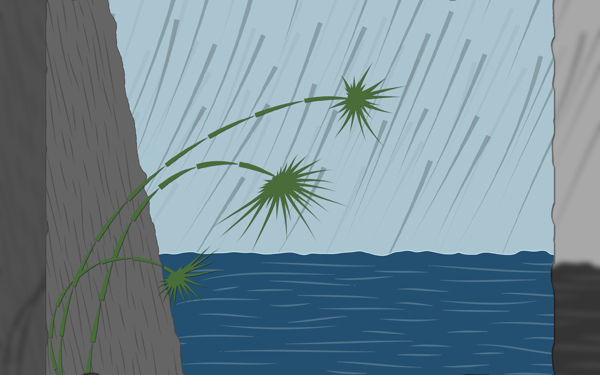 高清2D雨中坚强的小草背景图