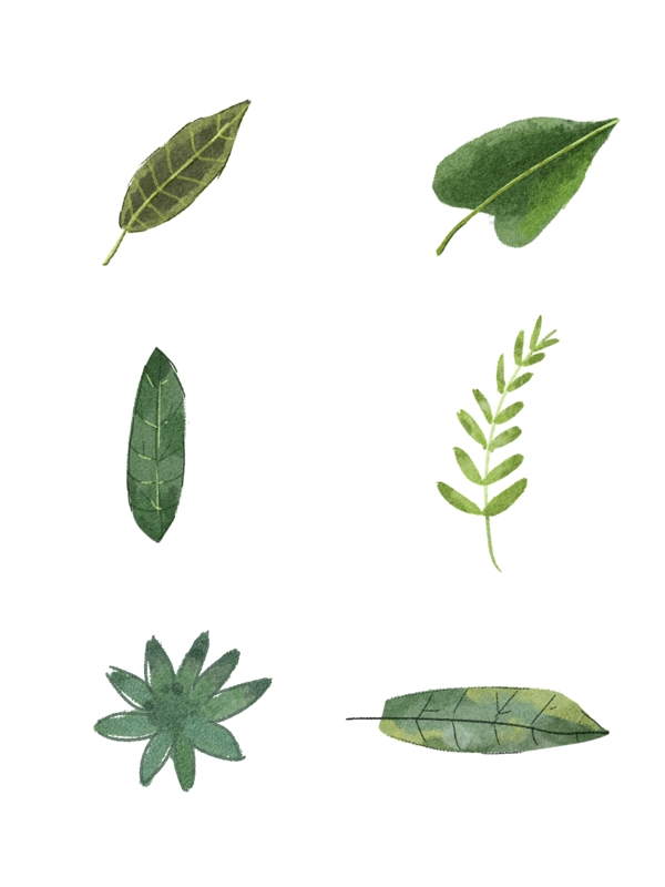 樹葉植物插畫可商用元素