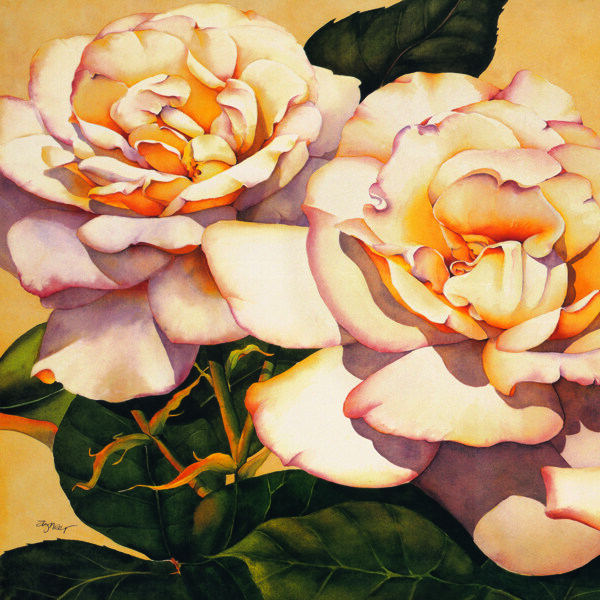 月季花