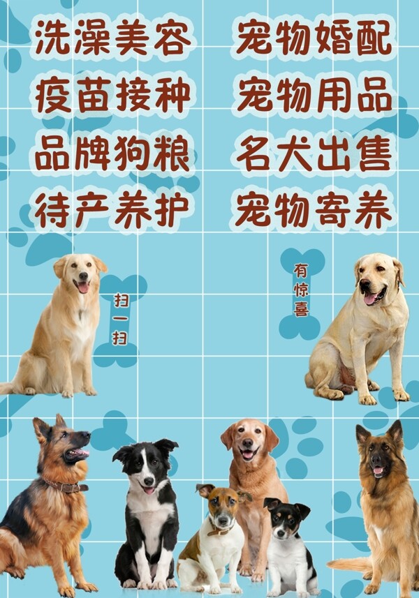 宠物海报图片