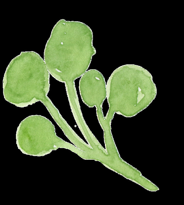 青綠花枝透明裝飾素材