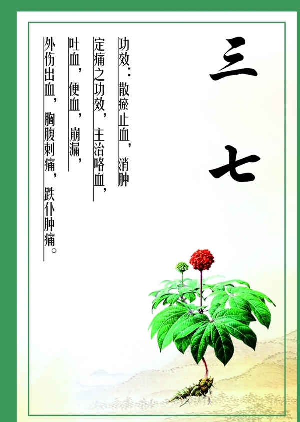 三七