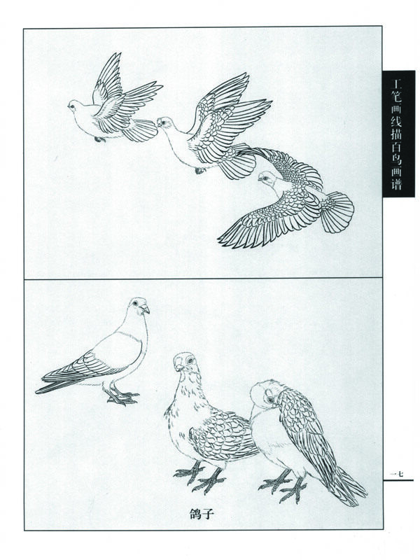 白描圖片