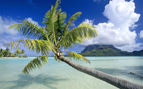 热带岛屿海滩自然风光高清风景