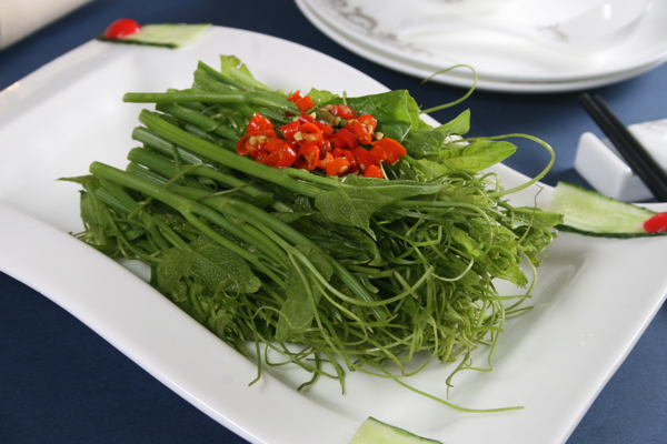 風(fēng)味蕨菜