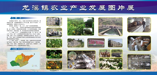 農(nóng)業(yè)發(fā)展展板農(nóng)業(yè)展板圖片
