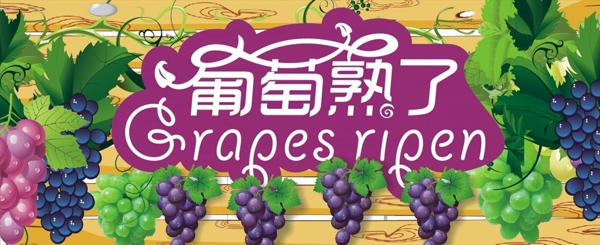 葡萄熟了广告宣传海报