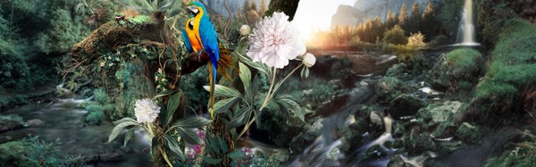 小清新森林花鳥(niǎo)背景