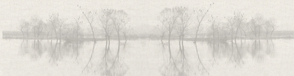 樹林灰棕anner